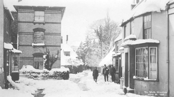 People standing in snow